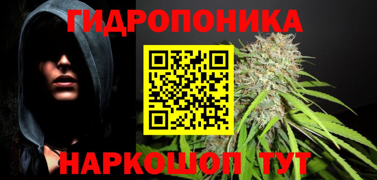 Марихуана OG Kush Богданович